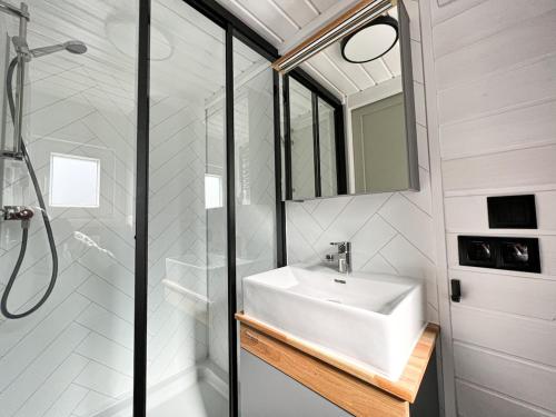 a white bathroom with a sink and a shower at Fuchs und Igel Tiny House - Tiny House Fuchs in Möllensee