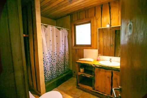 a bathroom with a sink and a shower at Patagonia Mawida in Neltume