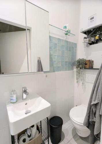 Central Renovated Long-Term Apartment