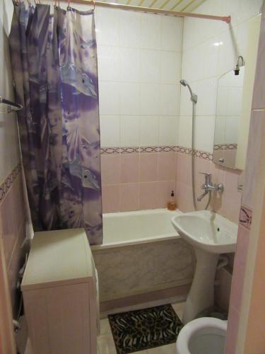 ペルミにあるApartments on Krasnovaのバスルーム(バスタブ、トイレ、シンク付)