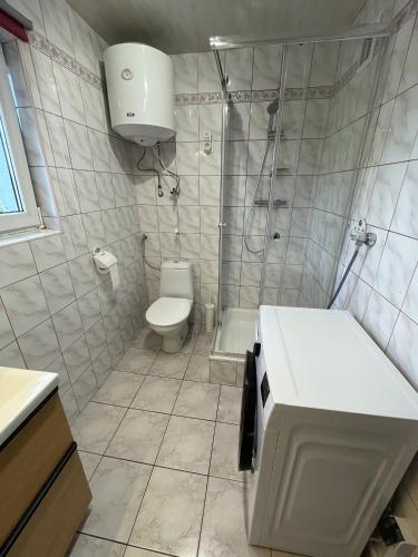 a bathroom with a shower and a toilet at Sielankowo in Rożnów