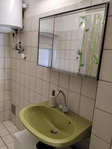 a bathroom with a green sink and a mirror at BLR Apartment in Graz