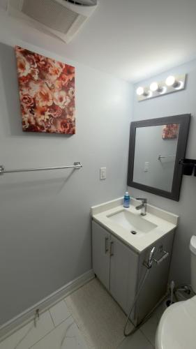a bathroom with a sink and a mirror at Beautiful lake view Basment room in Brampton