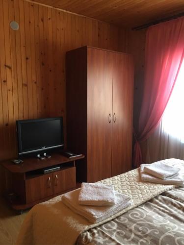 a bedroom with a bed and a tv on a cabinet at Svitlana in Tatariv