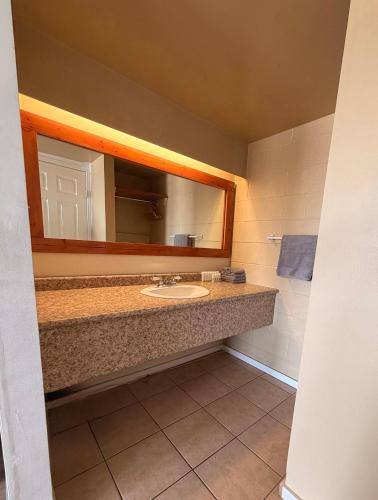 a bathroom with a sink and a mirror at Caravan Motel in Fort Saint John