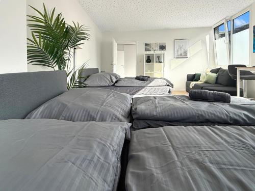 three beds in a room with a couch and a plant at Loft 24 Stuttgart Zentrales Gruppenloft für 10 Gäste mit PS5 in Stuttgart