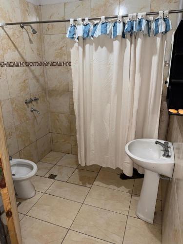a bathroom with a shower and a toilet and a sink at Runa Huasi in Tinogasta