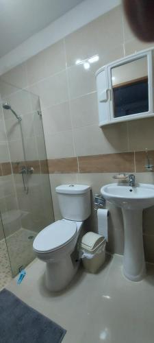 a bathroom with a toilet and a sink at La cubana in Santo Domingo