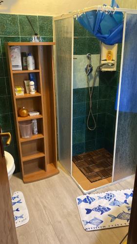 a shower with a glass door in a bathroom at Cutigliano con vista in Cutigliano