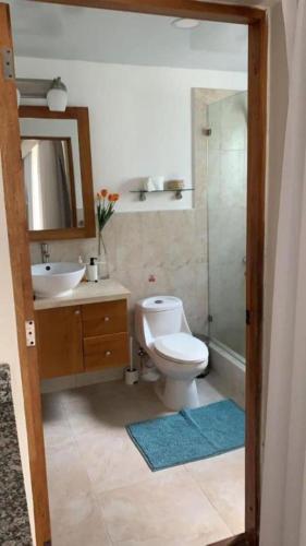a bathroom with a toilet and a sink and a shower at Relax at Private beach, Pools, Acuatic Park & more in Bayahibe