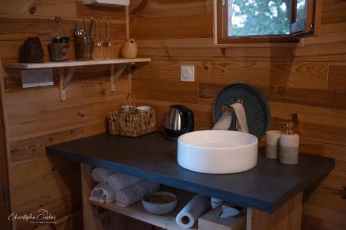 a bathroom counter with a sink in a room at Roulotte de Combeplane in Carnac-Rouffiac