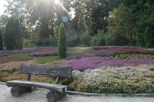 Zahrada ubytování Ferienwohnung Lüneburger Heide