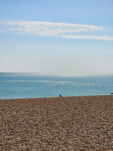 Charming Victorian one-bedroom flat in a prime location, just moments from the seafront, the i360, and the train station photo 17