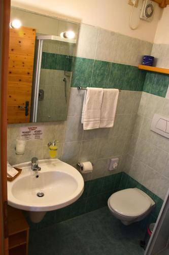 a bathroom with a sink and a toilet at Rifugio Predaia Ai Todes'ci in Tres