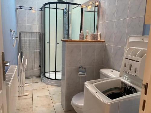 a bathroom with a shower and a toilet and a sink at Tucaut in Toulouse