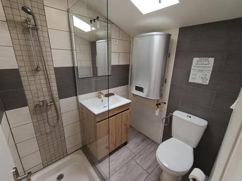 a bathroom with a shower and a toilet and a sink at Dax Jardin Studio in Dax