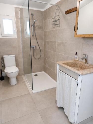 a bathroom with a shower and a toilet and a sink at Gîte Le Jasmin in Le Thor