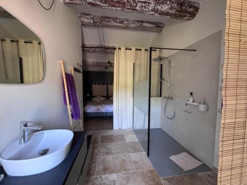 a bathroom with a sink and a shower at Au Clair Ventoux B & B - SPA in Saint-Didier
