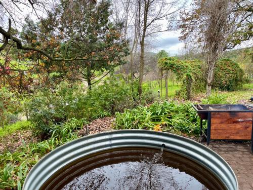 a pool of water in a garden with a table at UnderHill Farm in Klipkraal