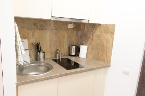 Una encimera de cocina con fregadero y microondas. en Grand Central Accommodation - Smardan, en Bucarest