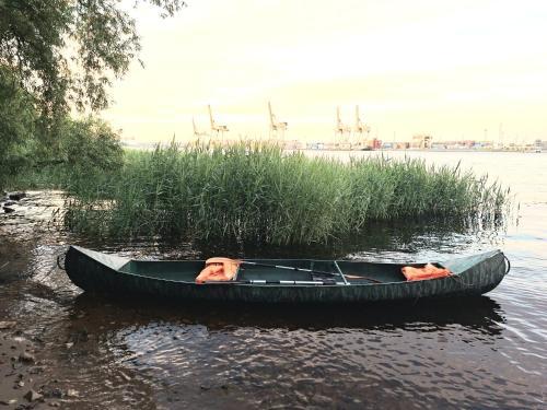 two dogs in a boat on the water at Minimalist riverside hideout in Riga