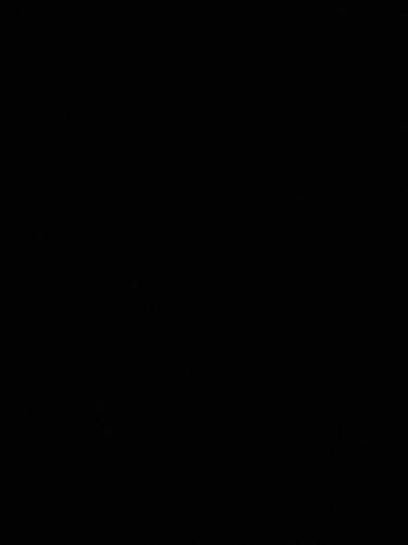 a dark room with a black background at Rum Alora in Disah