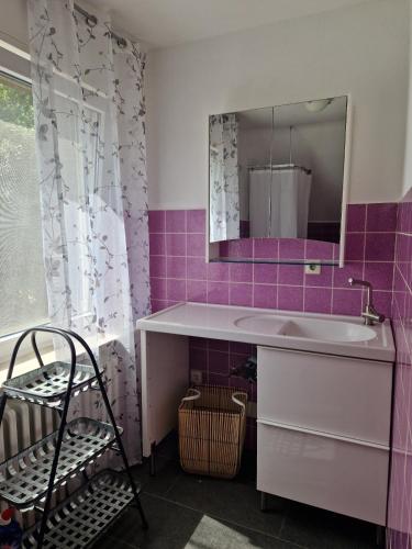 a bathroom with a sink and a mirror at Ruhige Ferienwohnung an der Vechte - Zweites Glûck in Nordhorn