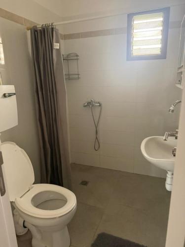 a bathroom with a toilet and a sink at Hamsa Apartment in Menaẖemya