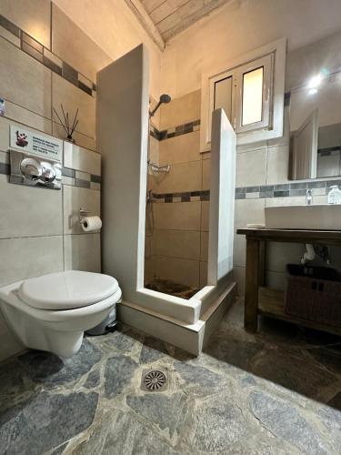 a bathroom with a toilet and a shower and a sink at Villa with private pool and exceptional sea view in Kithnos