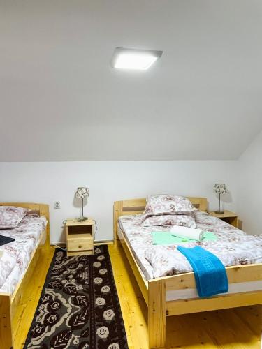 a bedroom with two beds and two night stands at Casa Butunoi in Dămuc