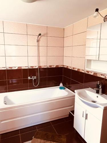 a bathroom with a bath tub and a sink at Casa Butunoi in Dămuc