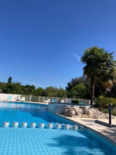 a swimming pool with chairs and a palm tree at Les Chênes verts in Saint-Savinien