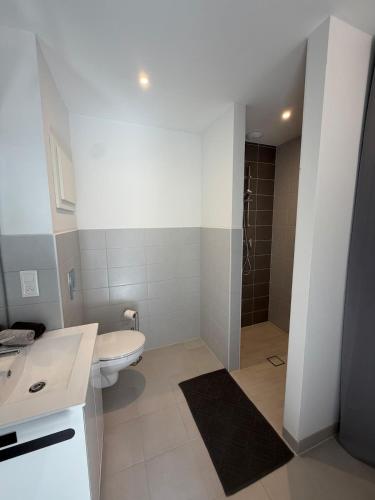 a bathroom with a toilet and a sink and a shower at Au fil de la Blies in Bliesbruck