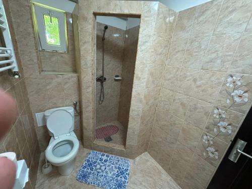 a bathroom with a shower and a toilet at Casa Yva Black Sea in Venus
