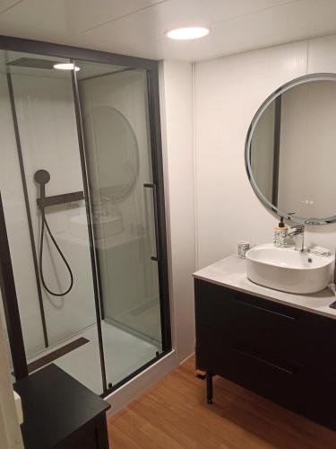 a bathroom with a shower and a sink and a mirror at Gîte du piémont in Mouzon