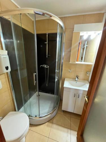 a bathroom with a shower and a toilet and a sink at Casa cu Stuf Olimp in Olimp