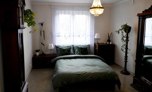 a bedroom with a bed in front of a window at U Edzia in Kochoń