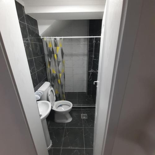 a small bathroom with a toilet and a sink at Apartments Viktor in Trpejca