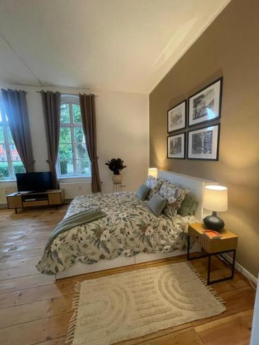 a bedroom with a large bed and a television at Ferienwohnungen im Gutshaus Groß Upahl in Groß Upahl