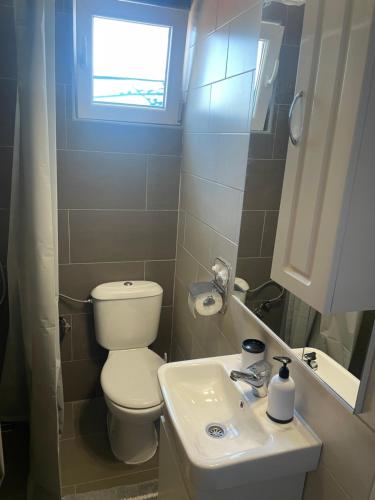 a small bathroom with a toilet and a sink at Apartman Teodora in Risan