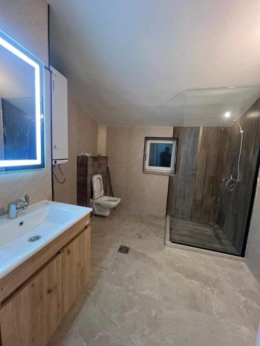 a bathroom with a shower and a sink and a toilet at Square View Apartment Center Niksic in Nikšić