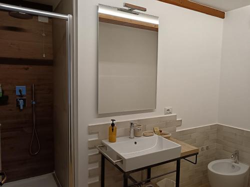 a bathroom with a sink and a shower and a mirror at ValleChiara B&B in Recanati