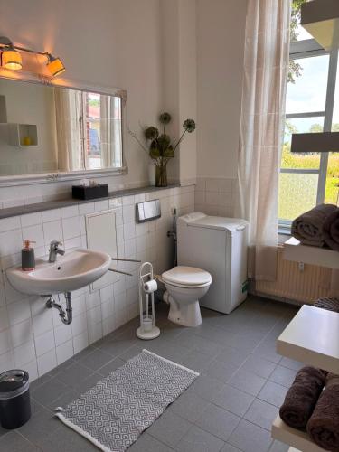 a bathroom with a toilet and a sink at Ferienwohnungen im Gutshaus Groß Upahl in Groß Upahl