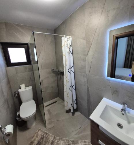a bathroom with a shower and a toilet and a sink at Piatra Humorului in Mănăstirea Humorului