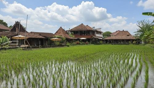 a group of houses and a field of grass at Alamanda Villas, Family Villas, Pool & Local Tours in Yogyakarta