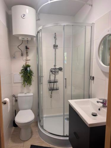 a bathroom with a shower and a toilet and a sink at APARTAMENT PLUS in Włodawa