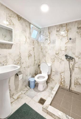 a bathroom with a toilet and a sink at Pensiunea VADU in Vadu