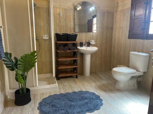 a bathroom with a toilet and a sink and a shower at A la maison B&B in Xagħra