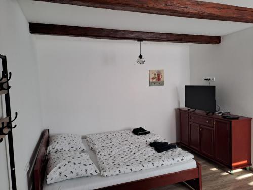 a bedroom with a bed and a tv in it at Ubytování na ranči in Hrabětice