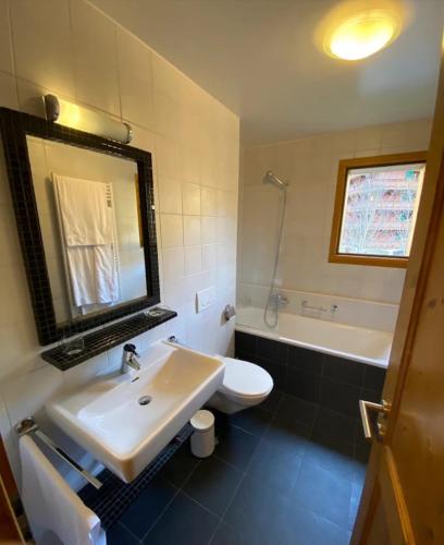 a bathroom with a sink and a toilet and a tub at River Dream in Val-d'Illiez